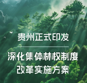 贵州省深化集体林权制度改革实施方案（附政策解读）